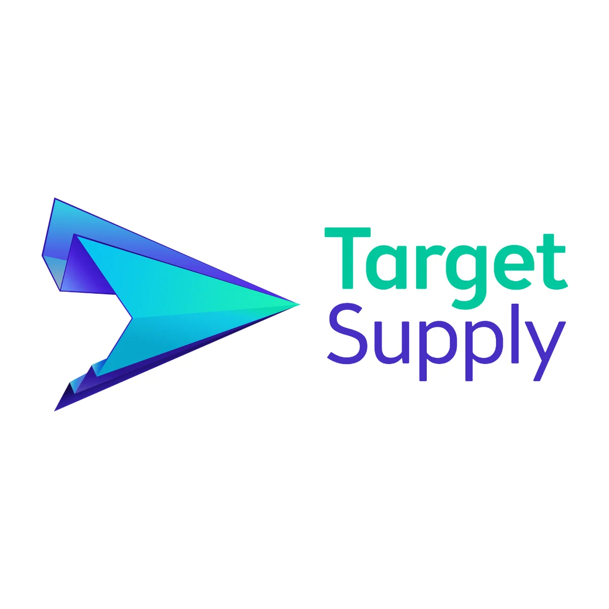 Target Supply Kurumsal Web Sitesi