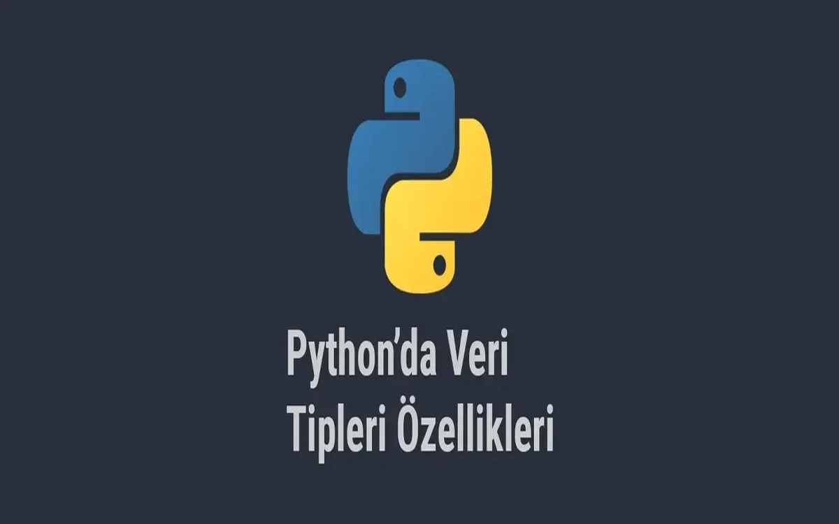 Python'da {p}Veri Tipleri{/p}: Mutable vs Immutable ve 2026 Modern Kullanım