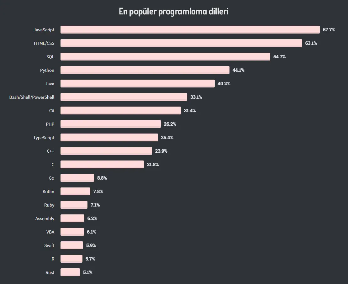 Stack Overflow Developer Survey 2024 — en popüler programlama dilleri